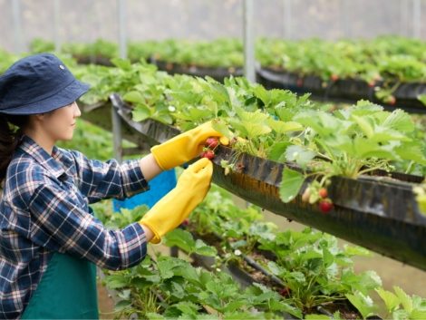 CÔNG TY CỔ PHẦN MỘC ĐIỀN