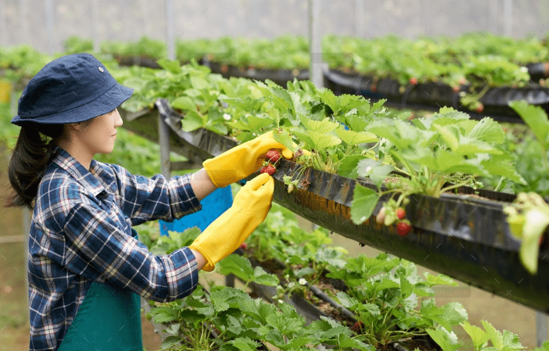 CÔNG TY CỔ PHẦN MỘC ĐIỀN