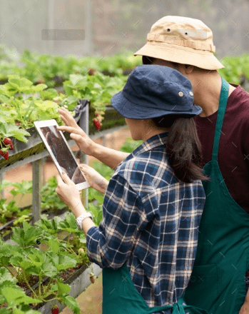 CÔNG TY CỔ PHẦN MỘC ĐIỀN