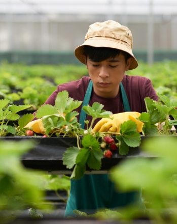 CÔNG TY CỔ PHẦN MỘC ĐIỀN