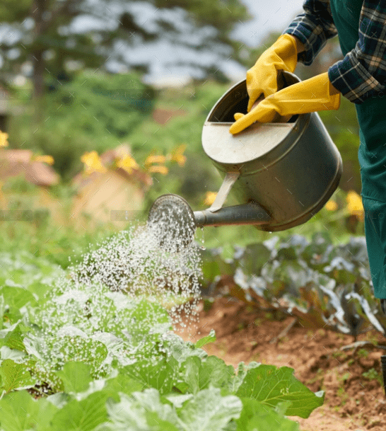 CÔNG TY CỔ PHẦN MỘC ĐIỀN