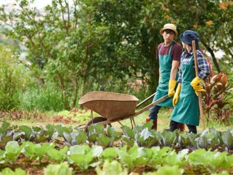 CÔNG TY CỔ PHẦN MỘC ĐIỀN