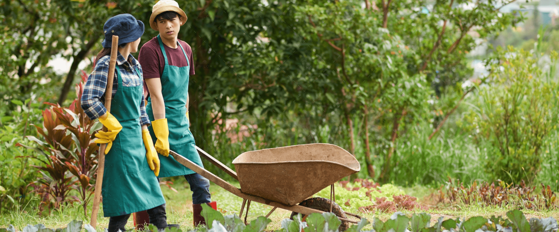 CÔNG TY CỔ PHẦN MỘC ĐIỀN