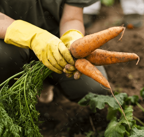 CÔNG TY CỔ PHẦN MỘC ĐIỀN