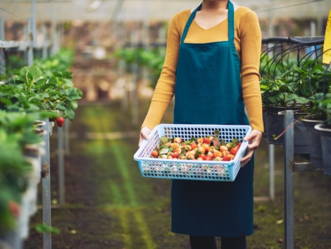 CÔNG TY CỔ PHẦN MỘC ĐIỀN