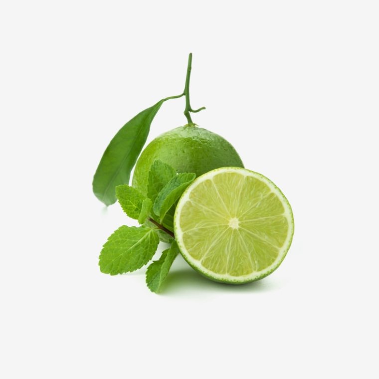 CÔNG TY CỔ PHẦN MỘC ĐIỀN