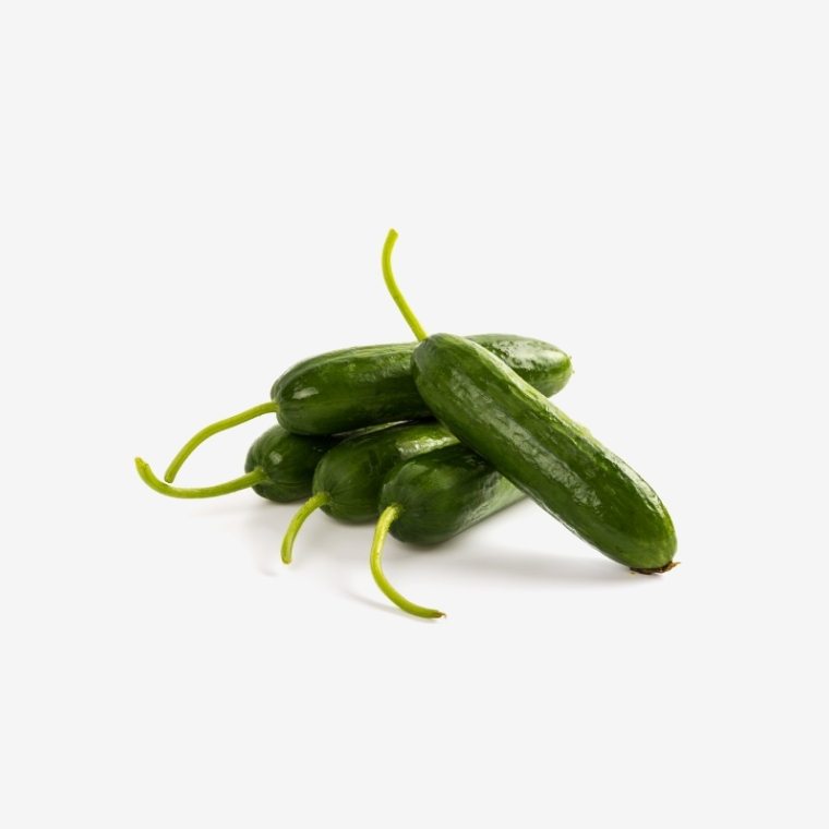 CÔNG TY CỔ PHẦN MỘC ĐIỀN