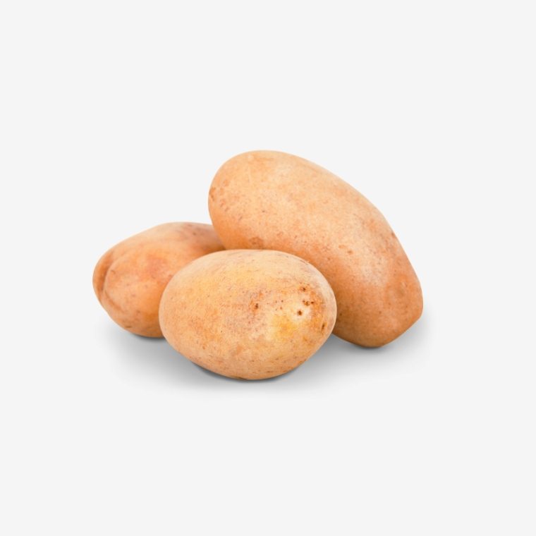 CÔNG TY CỔ PHẦN MỘC ĐIỀN