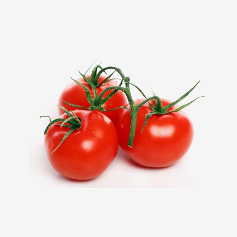 CÔNG TY CỔ PHẦN MỘC ĐIỀN