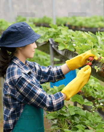 CÔNG TY CỔ PHẦN MỘC ĐIỀN