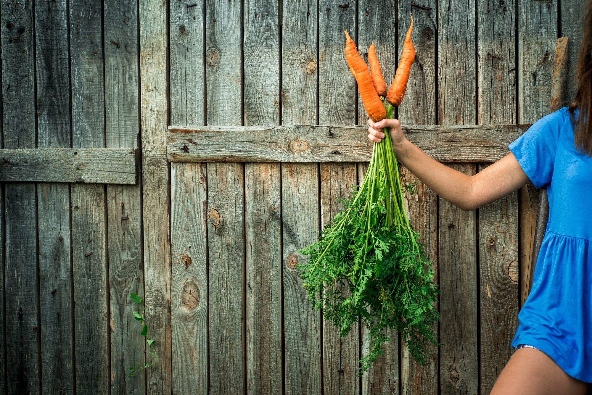 CÔNG TY CỔ PHẦN MỘC ĐIỀN