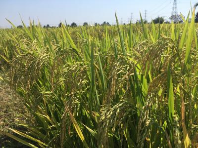 CÔNG TY CỔ PHẦN MỘC ĐIỀN