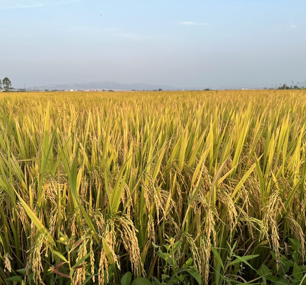 CÔNG TY CỔ PHẦN MỘC ĐIỀN