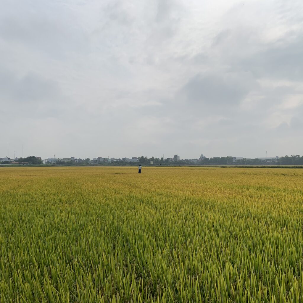 CÔNG TY CỔ PHẦN MỘC ĐIỀN