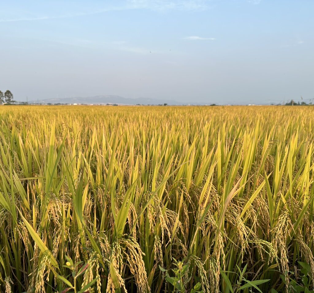 CÔNG TY CỔ PHẦN MỘC ĐIỀN