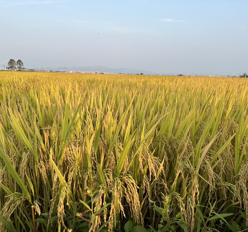 CÔNG TY CỔ PHẦN MỘC ĐIỀN