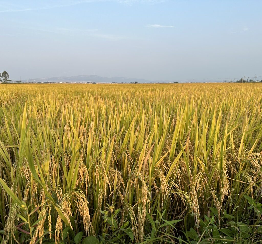 CÔNG TY CỔ PHẦN MỘC ĐIỀN