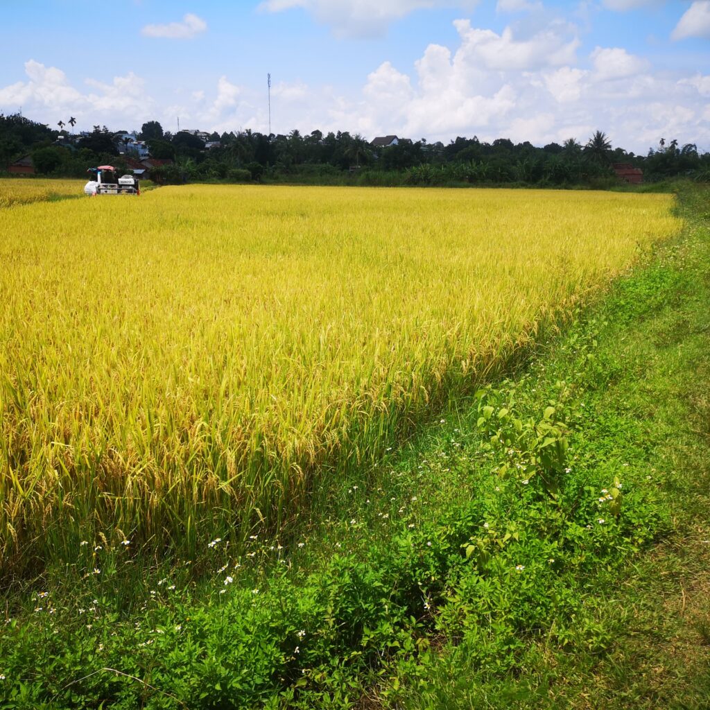 CÔNG TY CỔ PHẦN MỘC ĐIỀN