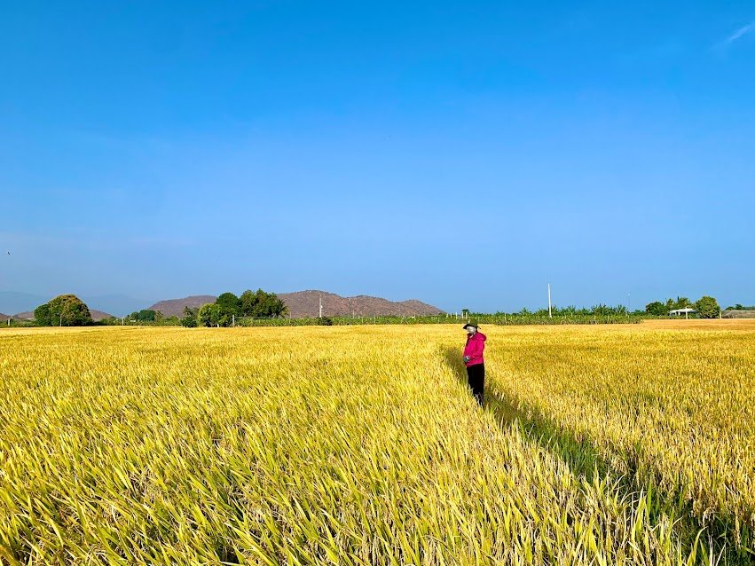 CÔNG TY CỔ PHẦN MỘC ĐIỀN
