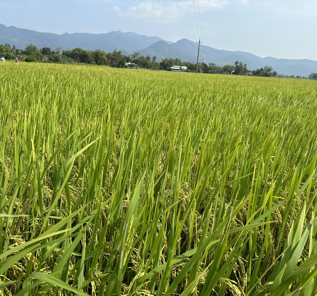 CÔNG TY CỔ PHẦN MỘC ĐIỀN