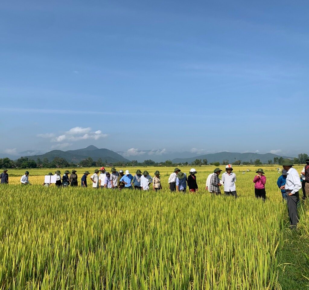 CÔNG TY CỔ PHẦN MỘC ĐIỀN