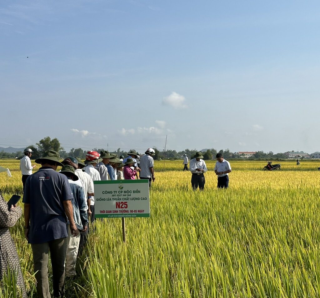 CÔNG TY CỔ PHẦN MỘC ĐIỀN