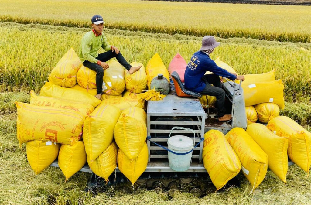 CÔNG TY CỔ PHẦN MỘC ĐIỀN