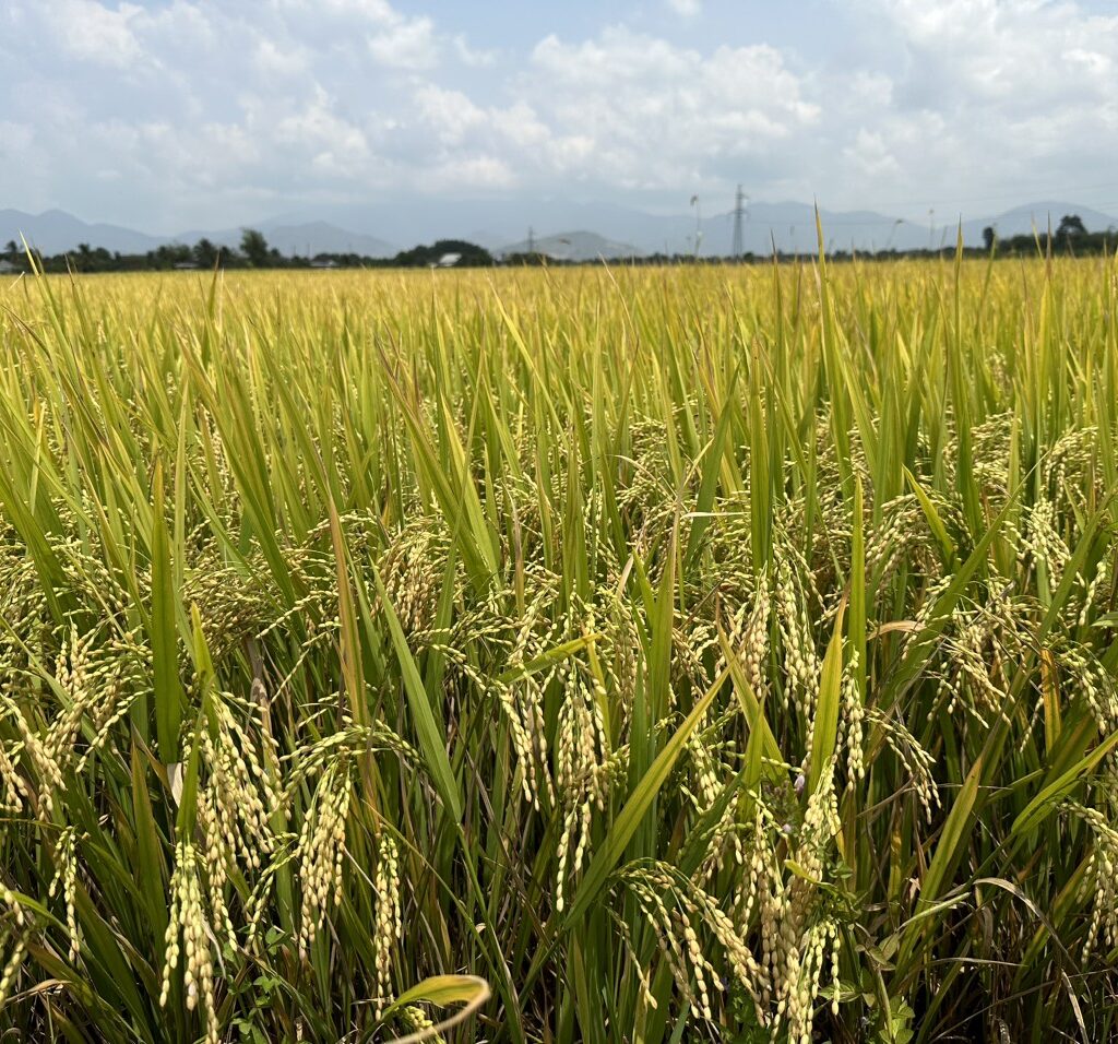 CÔNG TY CỔ PHẦN MỘC ĐIỀN