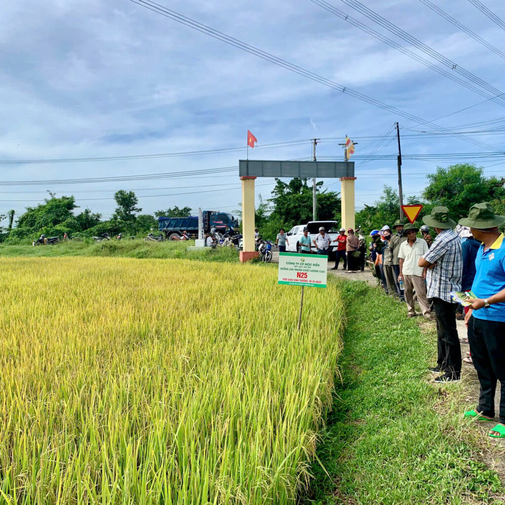 CÔNG TY CỔ PHẦN MỘC ĐIỀN