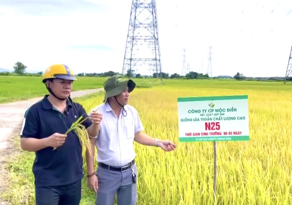 CÔNG TY CỔ PHẦN MỘC ĐIỀN