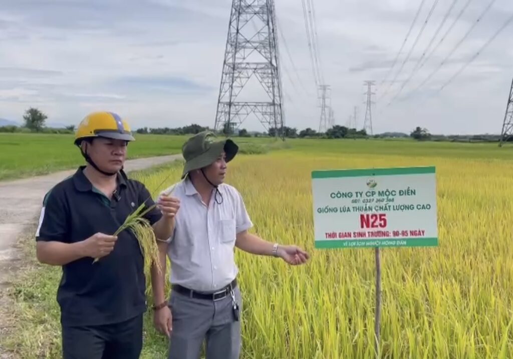 CÔNG TY CỔ PHẦN MỘC ĐIỀN